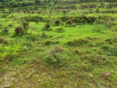 田地退租致村民和承租方起纠纷！村委会：天气原因致使退租，将尽快解决相关事宜