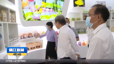 广东省农业农村厅到梅江区调研乡村振兴工作