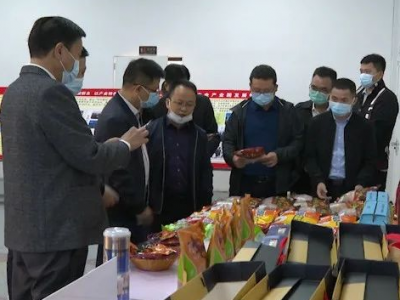 肇庆市广宁县考察组到兴宁市考察肉鸽产业发展情况