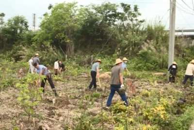 汤西镇开展专项行动，严厉打击汕昆高速沿线“三抢”违法行为