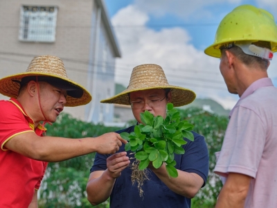 乔治获追授全国优秀共青团干部！系驻梅州平远东石镇帮扶干部