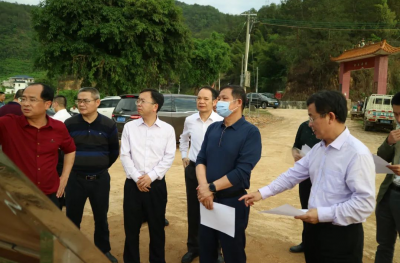 省自然资源厅调研组到大埔调研指导：推进山水林田湖草沙一体化保护修复工作