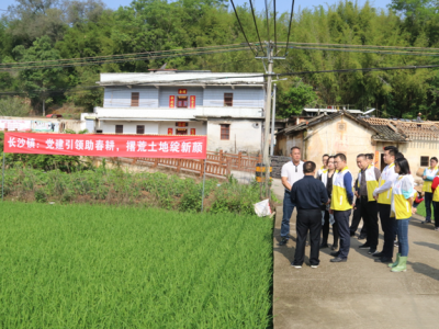 聚焦撂荒地整治，全力推进复耕复种！梅江区长沙镇开展这个主题党日活动