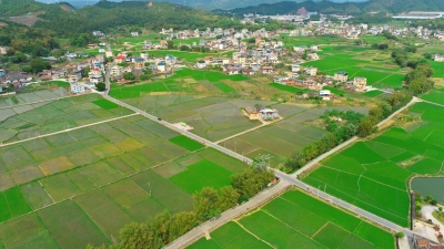 夯实全年粮食丰收基础！平远已完成春播粮食作物面积8.96万亩 