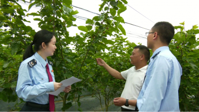 平远县全面铺开税村（社区）共建共治共享活动