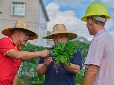 顶着病痛坚持4个月，他把生命中最后的血汗挥洒在平远东石镇山乡...