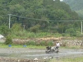 唤醒“沉睡”土地！大埔湖寮镇抢抓农时不负春