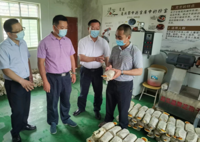 陈志宁到梅县区梅西镇开展直接联系村（社区）“两委”干部工作