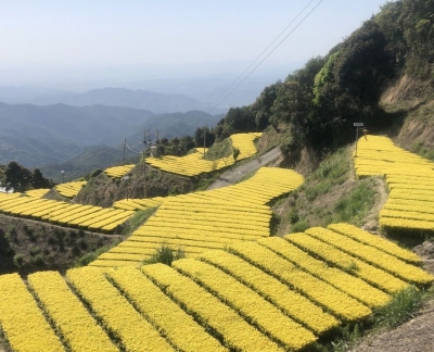 梅江周末·凌风