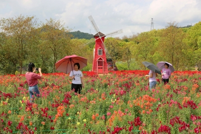 春风得意，踏青趣！一键开启春游模式