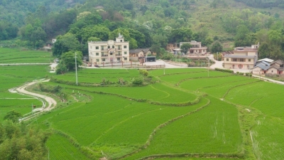 昔日撂荒地 今朝“希望田”！梅江区扎实推进春耕生产和撂荒地复耕复种工作 