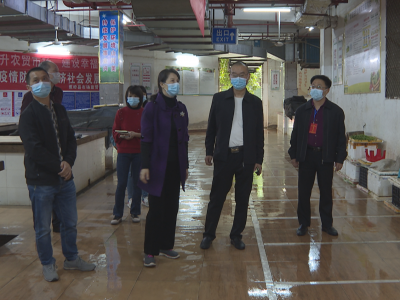 陈丽率队督导检查创建全国县级文明城市工作