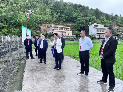 丰顺县砂田镇开展人大代表集中视察活动