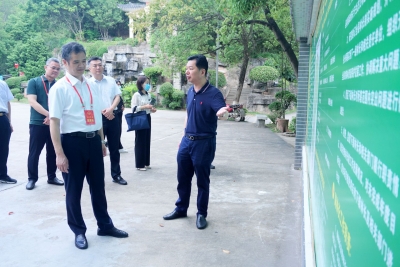 市人大常委会组织视察梅州全面推行林长制工作情况：全面深入推进林长制落实见效