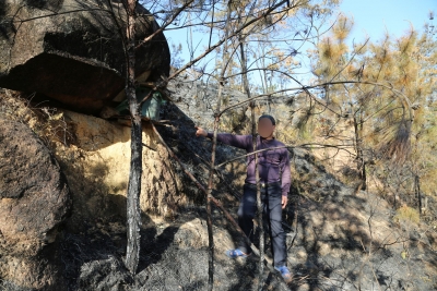 烧蜂蜡引蜜蜂却引发山火，过火面积超64亩，得不偿失！