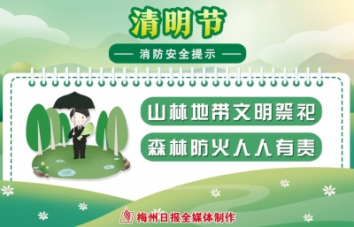 又是一年清明时，以案为鉴，请文明祭祀！