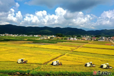 梅州蕉岭将获农业生产托管项目奖补资金800万元！