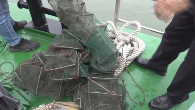 最高可处5万元以下罚款！梅县查获三十多起禁渔期内非法捕捞行为