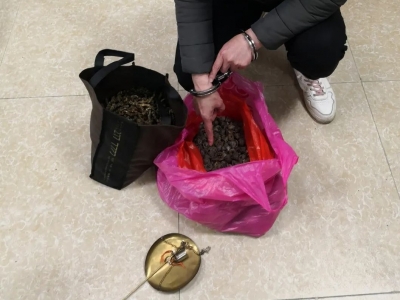 医院门口的“神药”包治百病？梅州已有5人被骗！