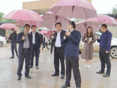刘鸿涛到文福镇、新铺镇调研：抢抓机遇突出重点 全力建设省际廊道示范带