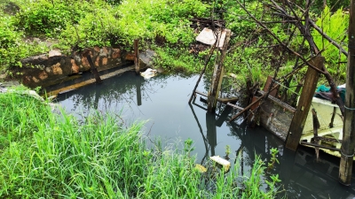 灌溉沟渠堵塞，农田菜地积水难排…兴宁市兴田街道办给出了解决方案→