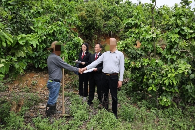 农户无力偿还贷款引纠纷，法官悉心调解破困局→