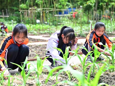 劳动创造幸福｜撸起袖子爱劳动！梅州市实验小学建起“开心农场”，学生变身快乐“小农夫”~