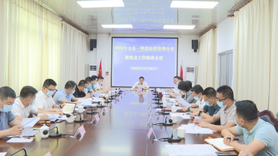 2022年蕉岭县一季度经济形势分析暨重点项目促投资工作会议召开