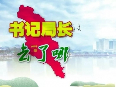 兴宁各镇党委书记、各局局长上周在忙什么？