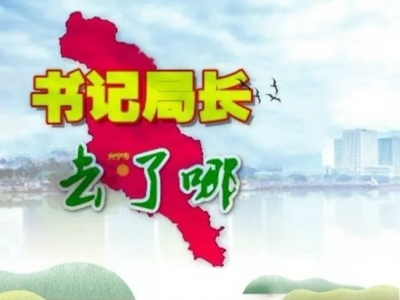 兴宁各镇党委书记、各局局长上周在忙什么？