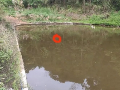 点赞！勇救落水幼童，一男子获评“见义勇为”！