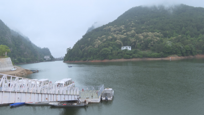 休闲游近郊游成假期首选，这个“五一”，你上哪打卡了？