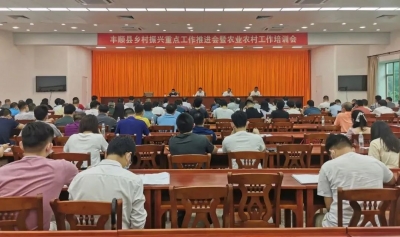 丰顺县召开乡村振兴重点工作推进会暨农业农村工作培训会
