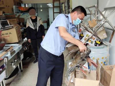 警民携手！“鸟中凤凰”重返大埔山林