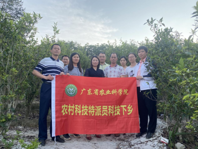 生产遇“瓶颈”？大埔枫朗镇驻镇帮镇扶村工作队协调，科技特派员送“技”下乡...