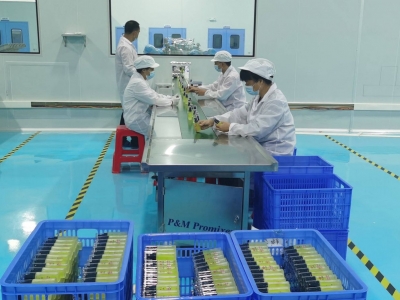 广东华清园：科技创新助推 南药从做大走向做强