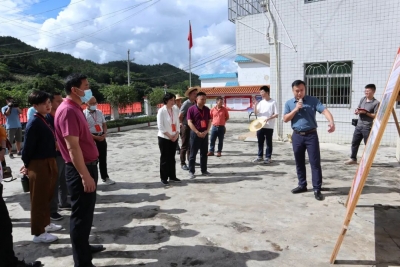 大埔县政协专题视察撂荒耕地复耕复种工作