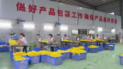 梅县区：金融赋能 助力小微企业发展