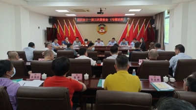 丰顺县政协召开十一届三次常委会 围绕新区供水工程项目开展专题议政