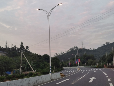 新闻追踪丨223省道变形广告牌已全部拆除