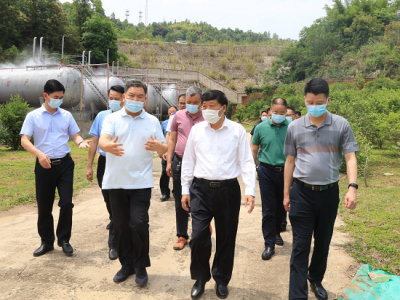 宋才华率队到黄陂镇、黄槐镇调研和督查安全生产、乡村振兴等工作