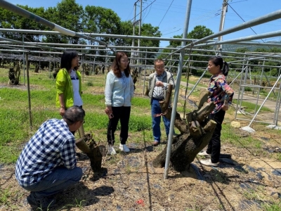 “科特派”领跑乡村振兴路！他们，用科技温暖丰顺埔寨~