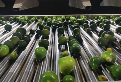 梅县区：“变废为宝”增收入 小柚果深加工助农致富