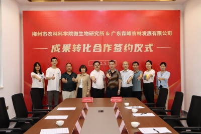 推进特色食药用菌科技成果转化！市农林科学院微生物所与广东森峰农林公司签约