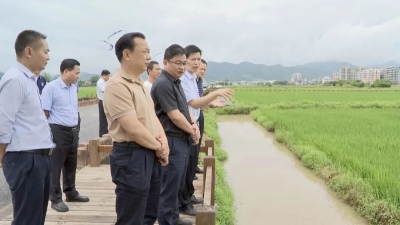 张贤亮调研梅县区粮食安全和国有资产处置等工作