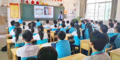 识毒、防毒、拒毒能力get！大埔开展禁毒宣传进校园活动