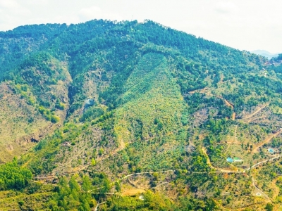 梅州高质量水源林年度任务完成过半