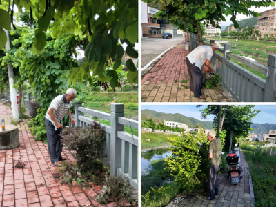 年逾七旬无私奉献！五华一老党员多年义务修理花草