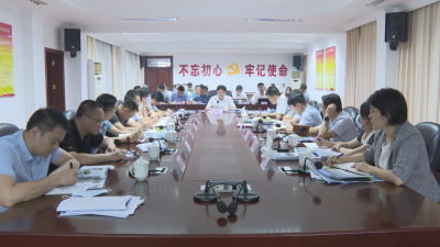 刘鸿涛主持召开新铺镇全域土地综合整治实施方案汇报会：为实体经济发展和乡村全面振兴提供要素保障