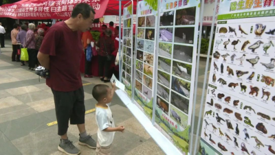 平远县开展2022年“国际生物多样性日”宣传活动